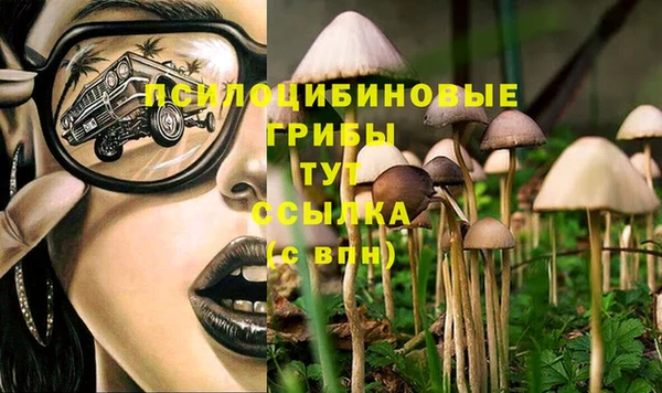 крисы Баксан