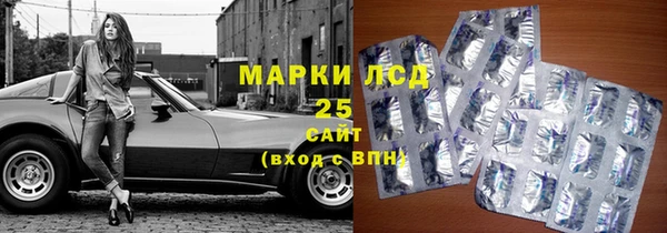 крисы Баксан