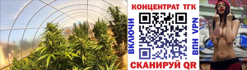 ТГК вейп Сорочинск